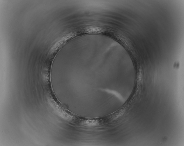 X0000115310353200911161727