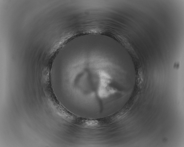 X0000115310355200911161727