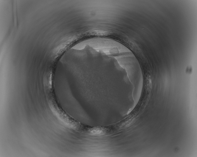 X0000115310358200911161727