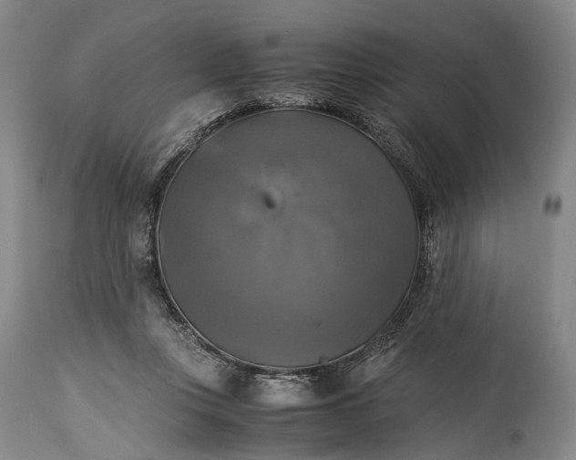 X0000115310359200911161727