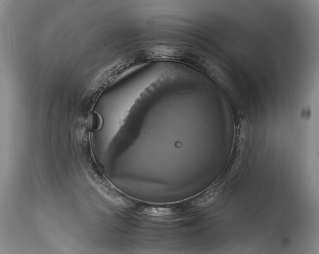 X0000115310361200911161727