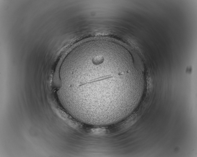 X0000115310362200911161727