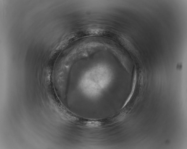 X0000115310363200911161727