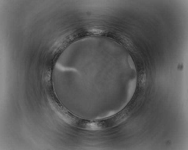 X0000115310365200911161727