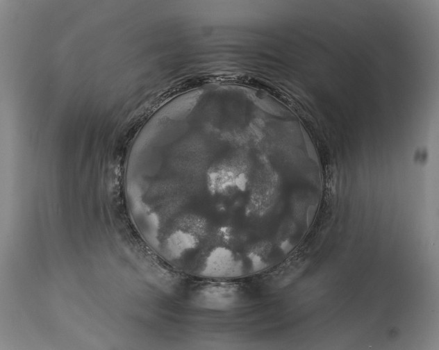 X0000115310369200911161727