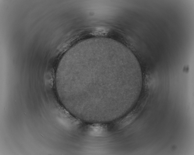 X0000115310370200911161727