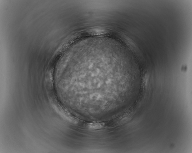 X0000115310373200911161727