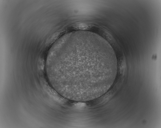 X0000115310374200911161727