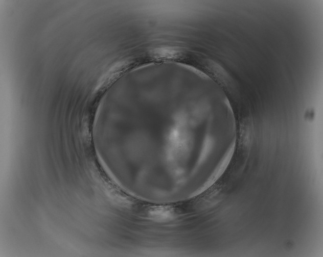 X0000115310377200911161727