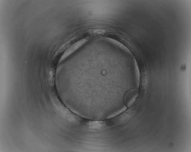 X0000115310378200911161727