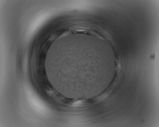 X0000115310382200911161727