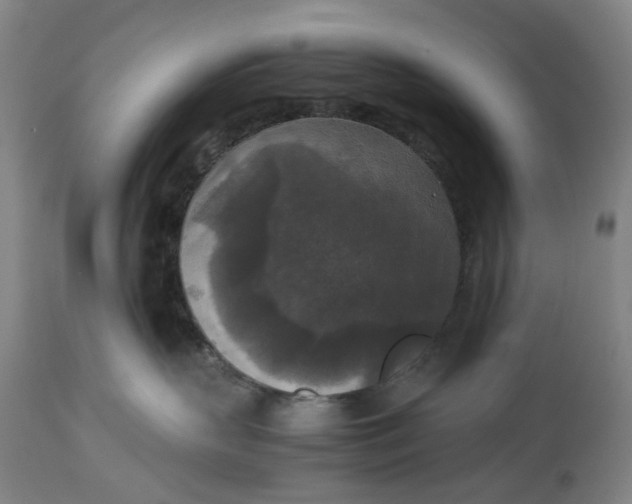 X0000115310383200911161727