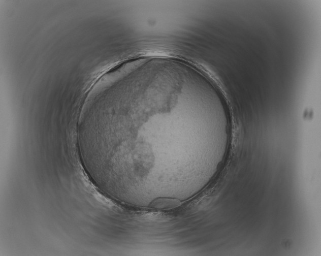 X0000115310385200911161726