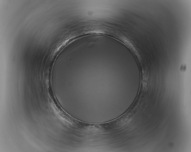 X0000115310386200911161726