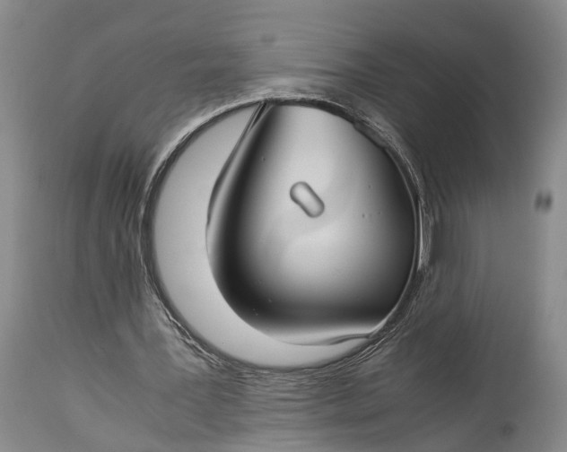 X0000115310387200911161726