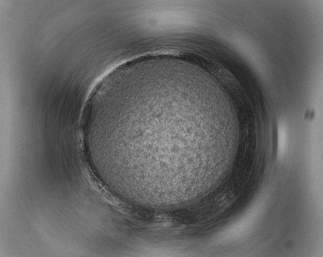 X0000115310388200911161726