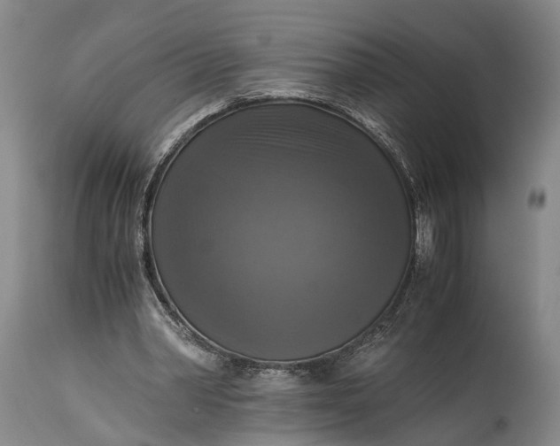 X0000115310390200911161726