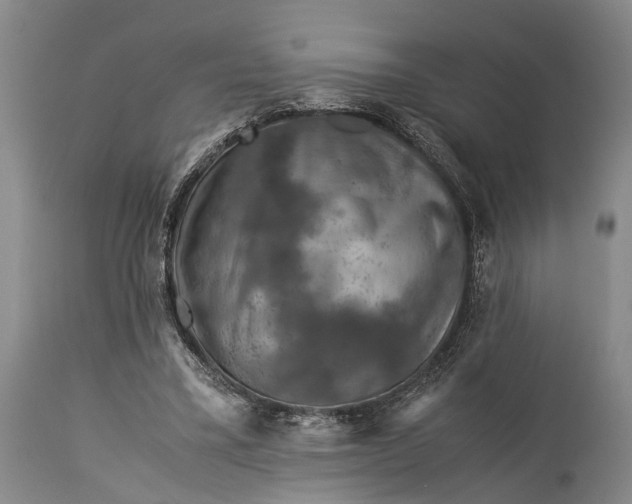 X0000115310395200911161726