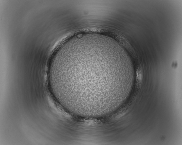 X0000115310396200911161726