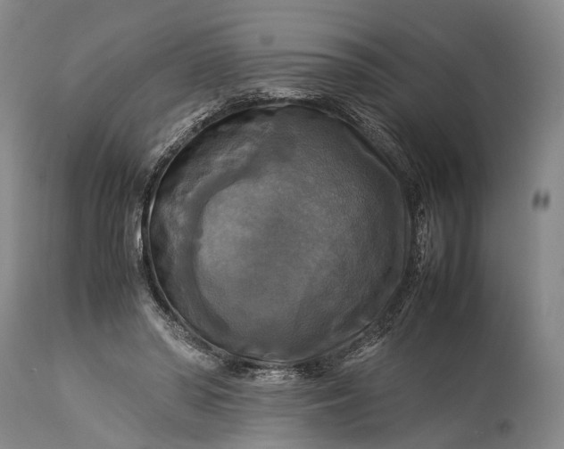 X0000115310398200911161726