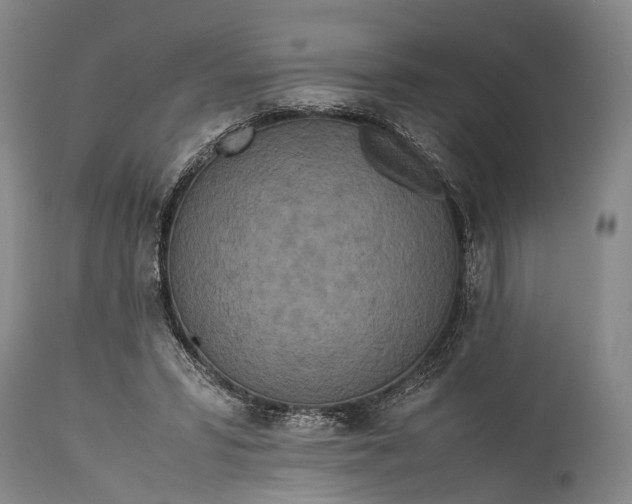 X0000115310399200911161726