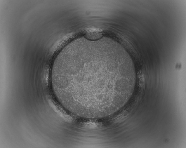 X0000115310404200911161726