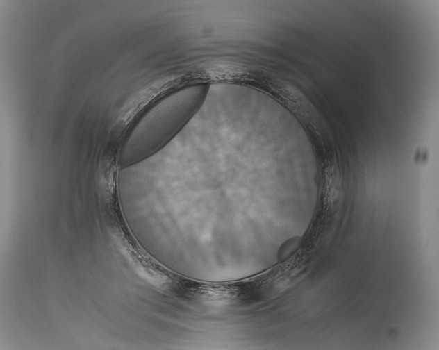 X0000115310405200911161726