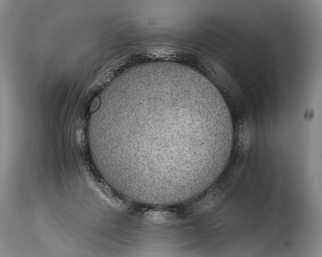 X0000115310408200911161726