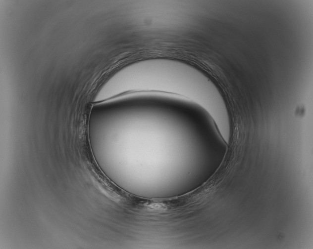 X0000115310409200911161726