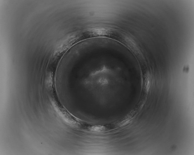 X0000115310410200911161726