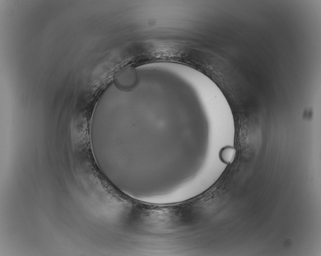 X0000115310411200911161726