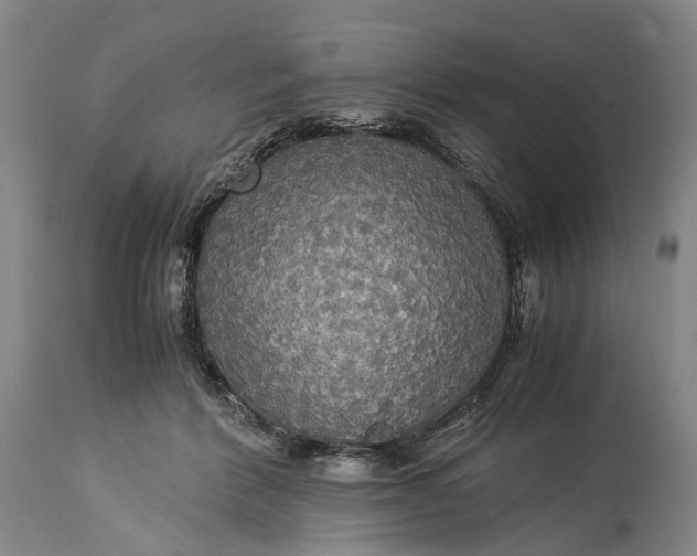 X0000115310412200911161726