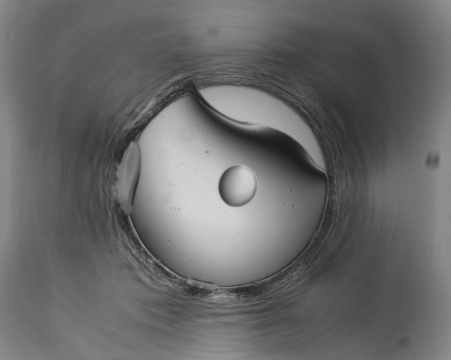 X0000115310413200911161726