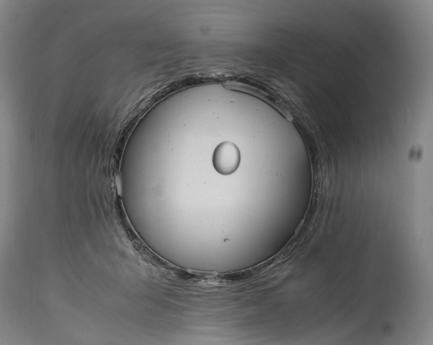 X0000115310415200911161726