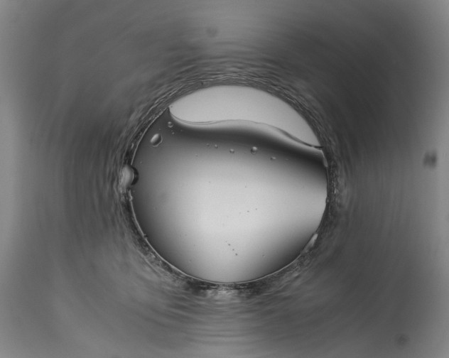 X0000115310419200911161726