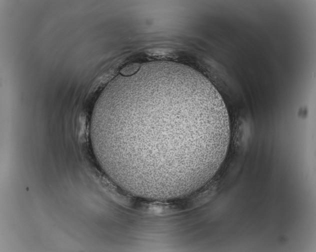 X0000115310420200911161726