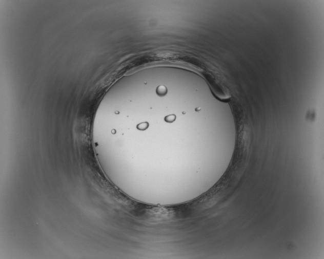 X0000115310421200911161726