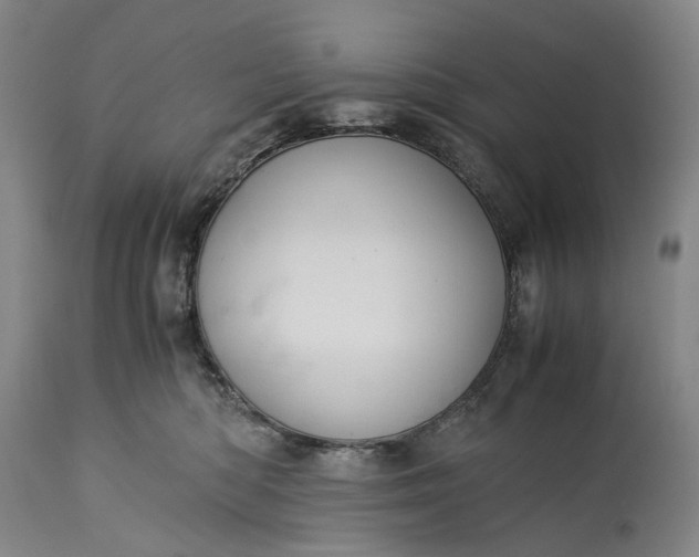 X0000115310422200911161726