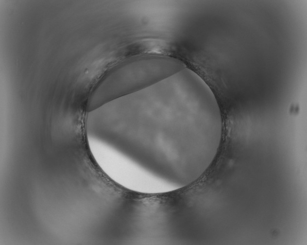 X0000115310423200911161726