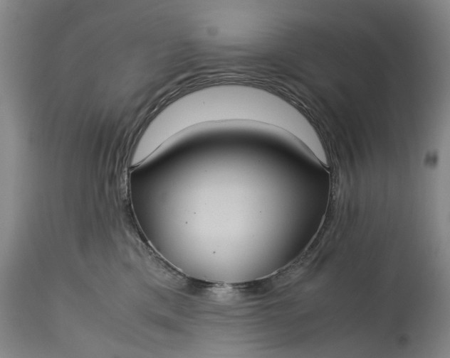 X0000115310425200911161726