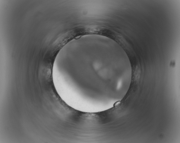 X0000115310427200911161726