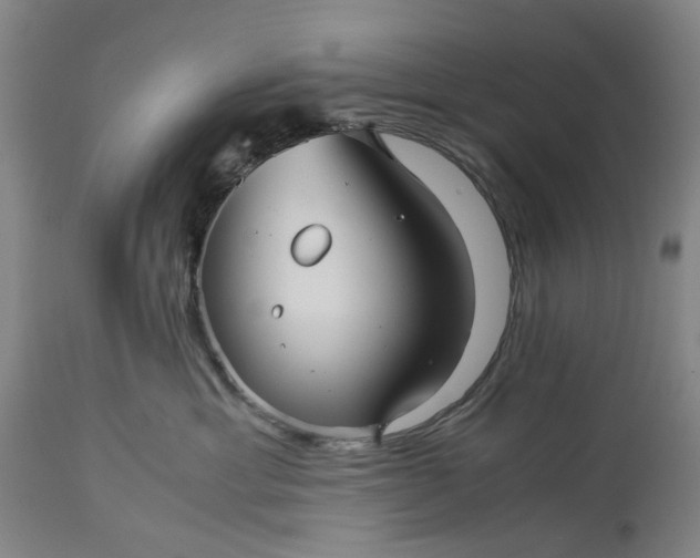 X0000115310429200911161726