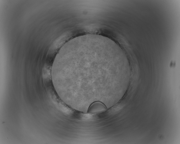 X0000115310432200911161726