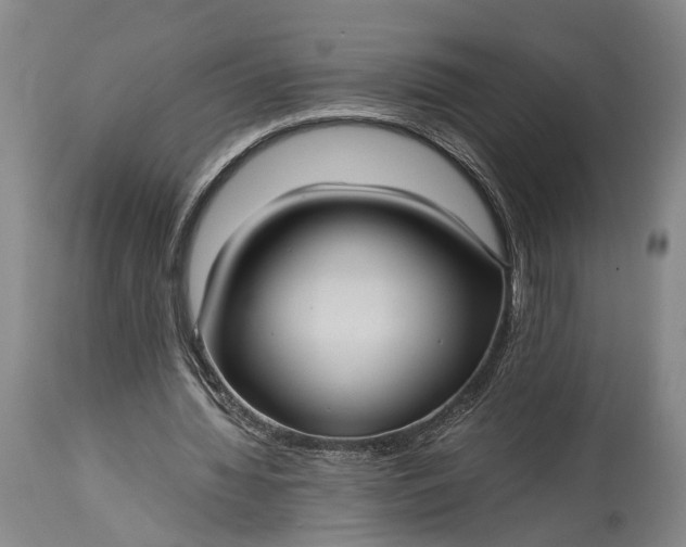 X0000115310436200911161725