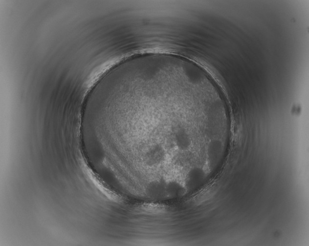 X0000115310437200911161725