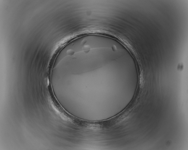 X0000115310438200911161725