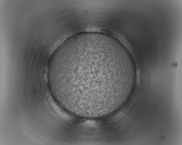 X0000115310441200911161725