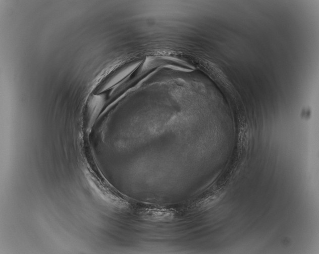 X0000115310443200911161725