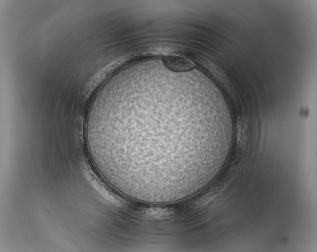 X0000115310445200911161725