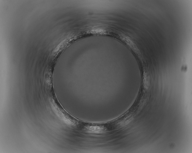 X0000115310449200911161725